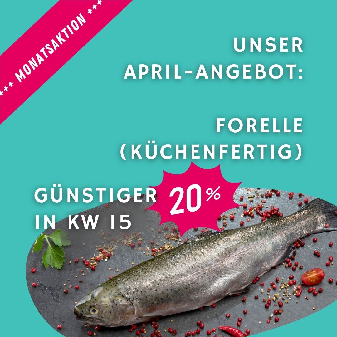 Angebot Saibling 20%